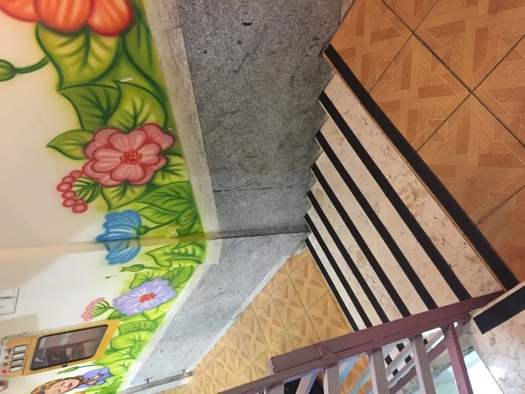 ترمز-پله-پی-وی