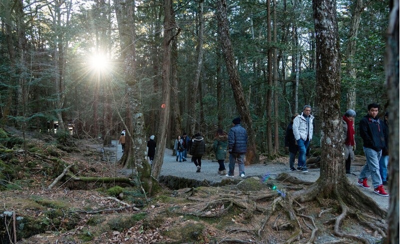 RHvI8D67K20sP3EvPeqYmy9PXeO8Unce6f7PqwdS