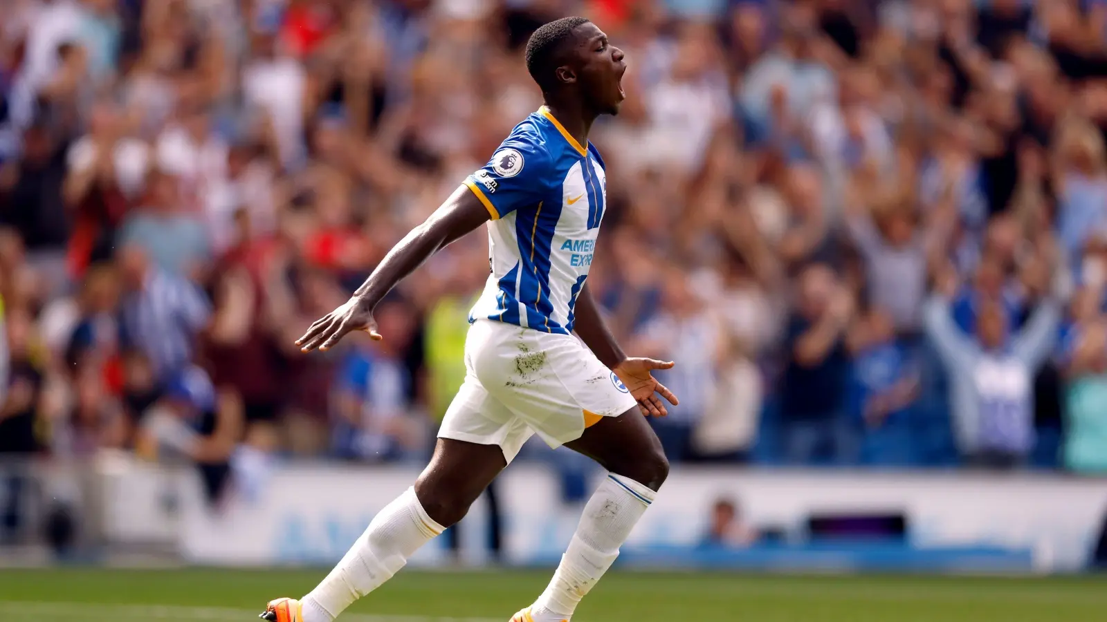 کایسدو-برایتون