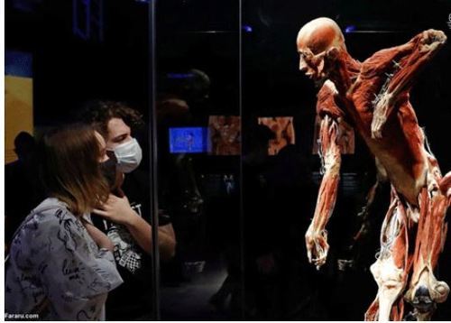 نمایشگاه-اجساد-4