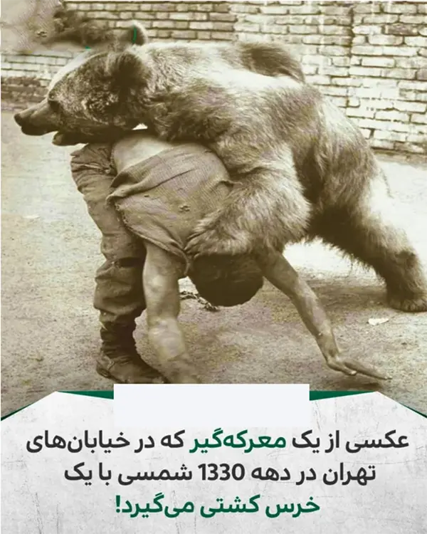 معرکه+گیری+انسان+با+خرس