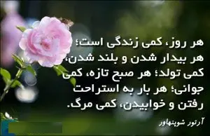 تبریک-تولد-بزرگان
