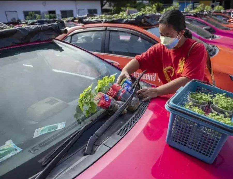 تاکسی-باغچه۶