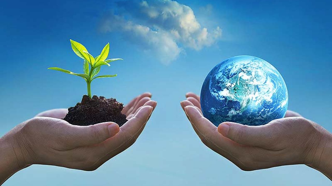 محیط-ززززززیست