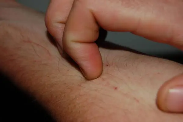 جنون-شاه-جورج