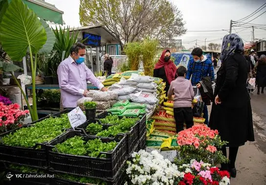 بازار-گل (35)