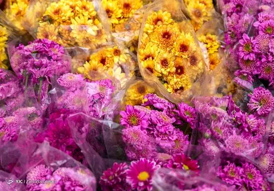 بازار-گل (10)