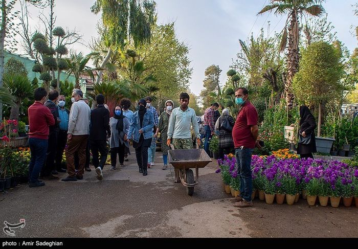 بازار گران فروشی گل و گیاه در روزهای آخر سال + تصاویر