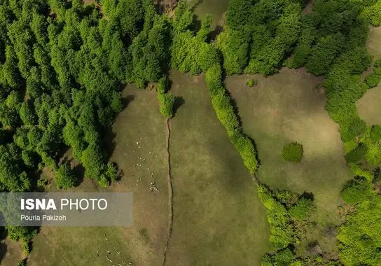 گردشگری-ایرانگردی (21)