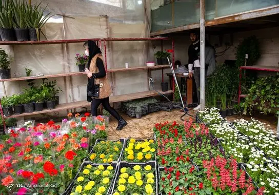 بازار-گل (6)