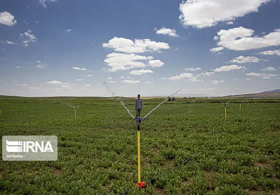 پرورش-شترمرغ (7)