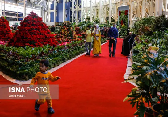 نمایشگاه-بین المللی (14)