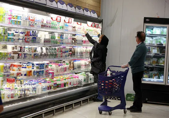 فریدی-فروشگاه (14)