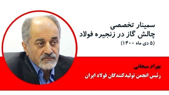 سبحانی: محدودیت در مصرف گاز تولید فولاد را متوقف می کند