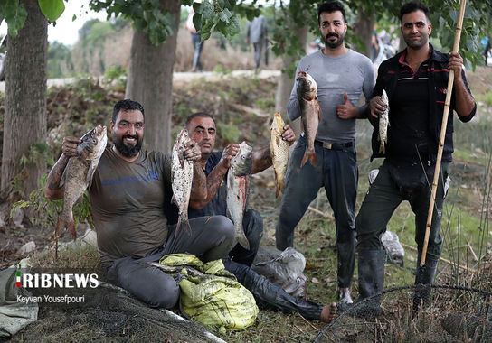 مراسم-قرق (33)