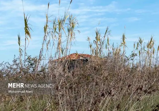 ایرانگردی-گردشگری-نوروز (45)