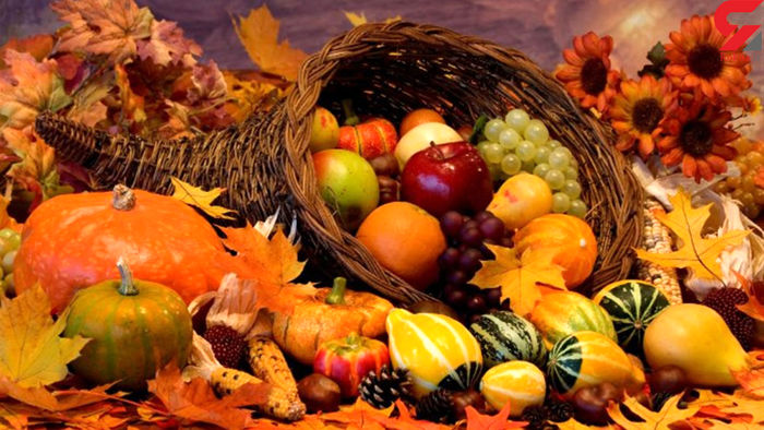 توصیه غذایی برای سرد مزاج ها در پاییز