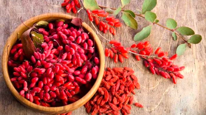 خواص بی نظیر دمنوش این میوه پاییزی!