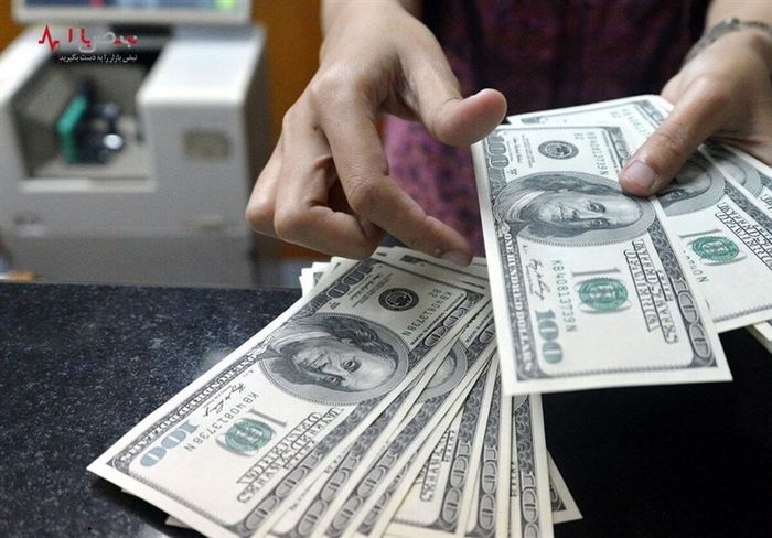 کاسبی جدید در بازار / سود ۲ میلیونی برای خریداران دلار سهمیه‌ای 