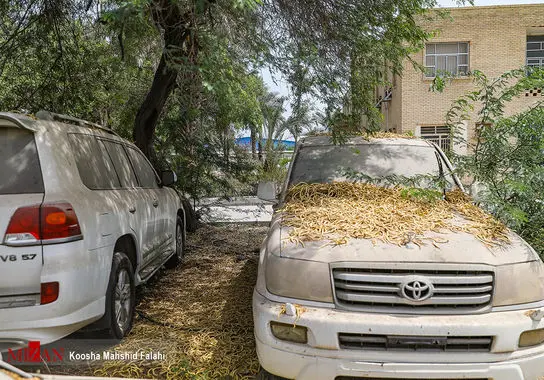 اموال-تملیکی (14)