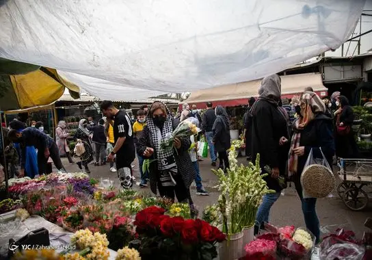 بازار-گل (26)