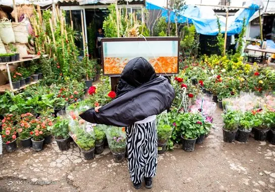 بازار-گل (30)