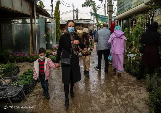 بازار-گل (33)