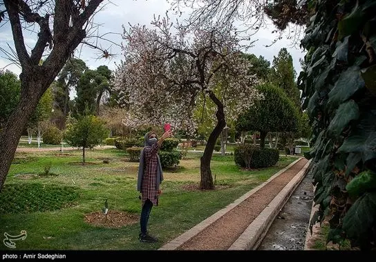 ایرانگردی-گردشگری (28)